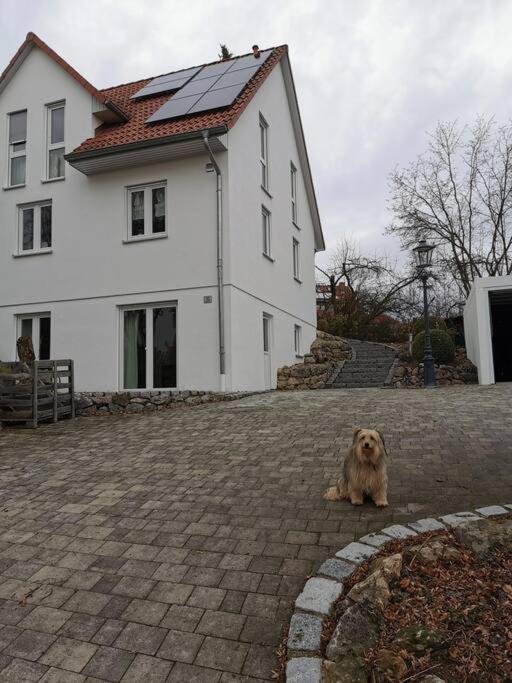 Appartement RAuszeit à Nittendorf Extérieur photo